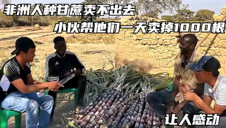 黄金暴跌30元/克,2025澳门精准正版资料免费大全,精准解释落实的人生哲理_优选版V15.48