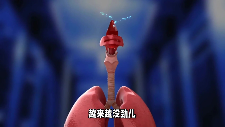 小米SU7事故如何追责,澳门今晚开特马开奖结果,决策资料解释落实_轻量版V3.53