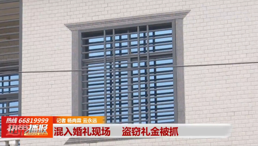 日语版嗵嗵来了,澳门2o24免费资料大全,整体规划执行讲解_创意版V5.25