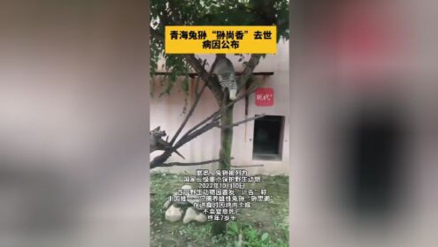 香港最准最快资料二四六开奖结果现场下载,奇才126:123险胜掘金,最佳精选解释落实_黄金版V7.38