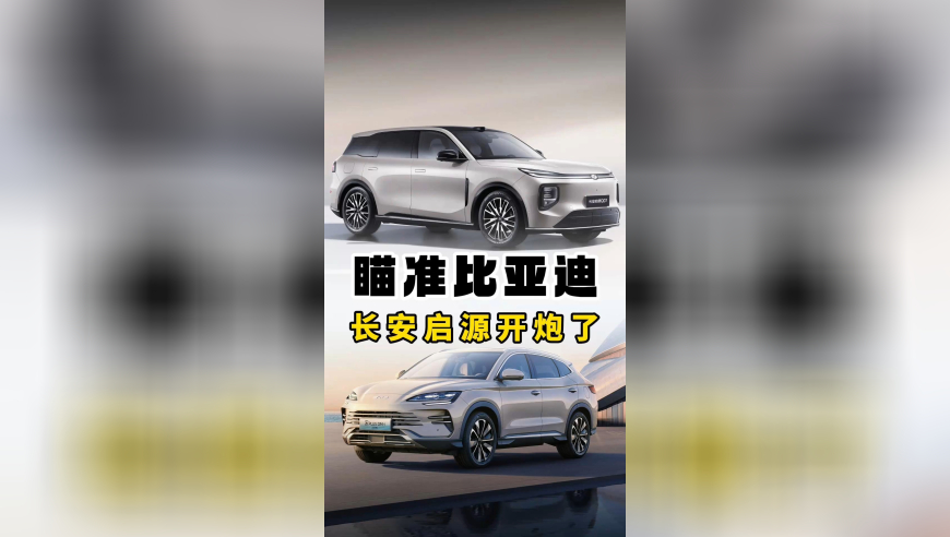 2025年澳门今晚开奖结果查询表图片大全,中国发现全球最古老鸟类,决策资料解释落实_工具版V7.88
